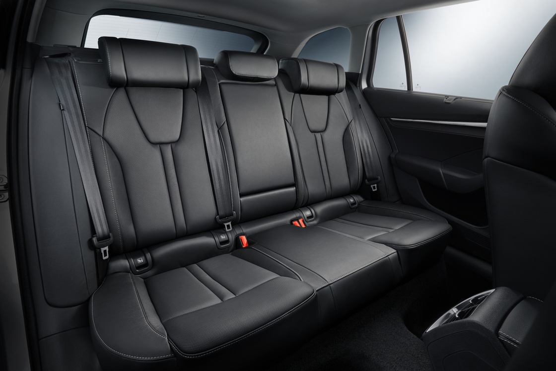octavia_070.68be92e3310c47f0d2af89f2441f440c.fit-1450x760.jpg