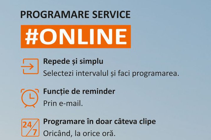 Programare service