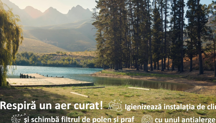 Respira un aer curat! Igienizeaza instalatia de climatizare si schimba filtrul de polen si praf cu unul antialergenic