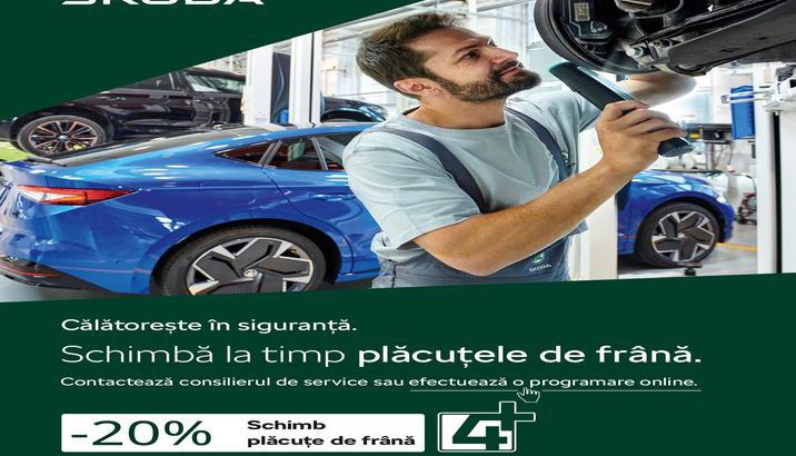 Segmentul 4 placute