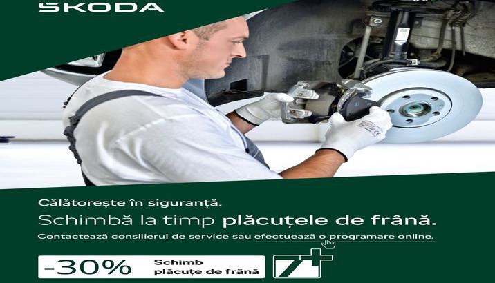 Segmentul 3 placute